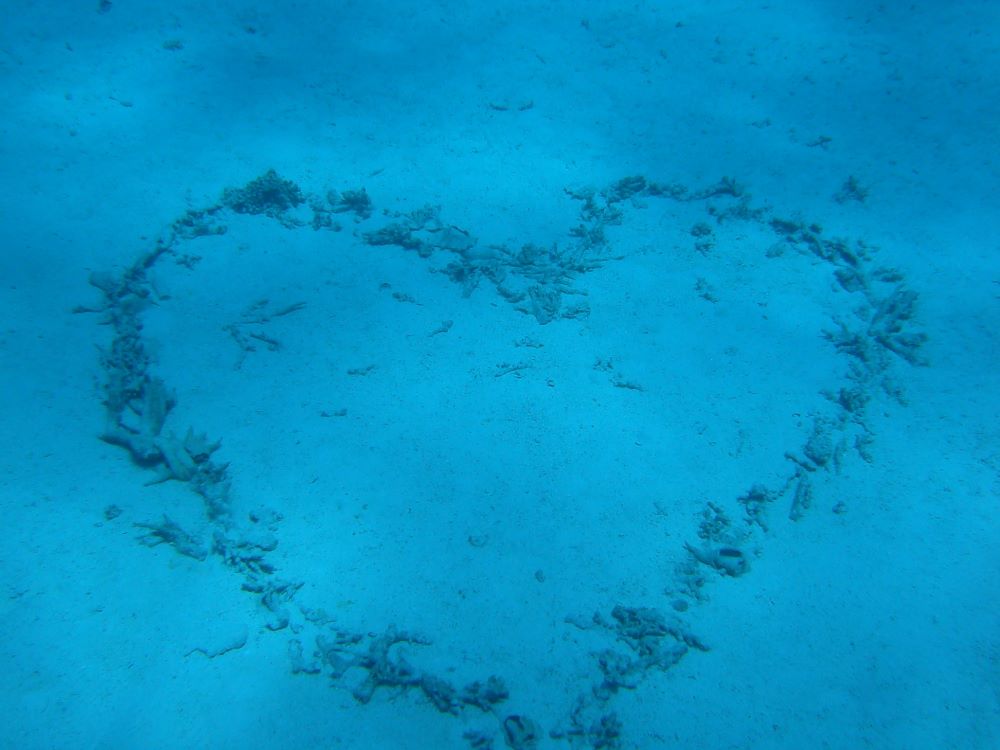 Herz aus Korallen im Meer